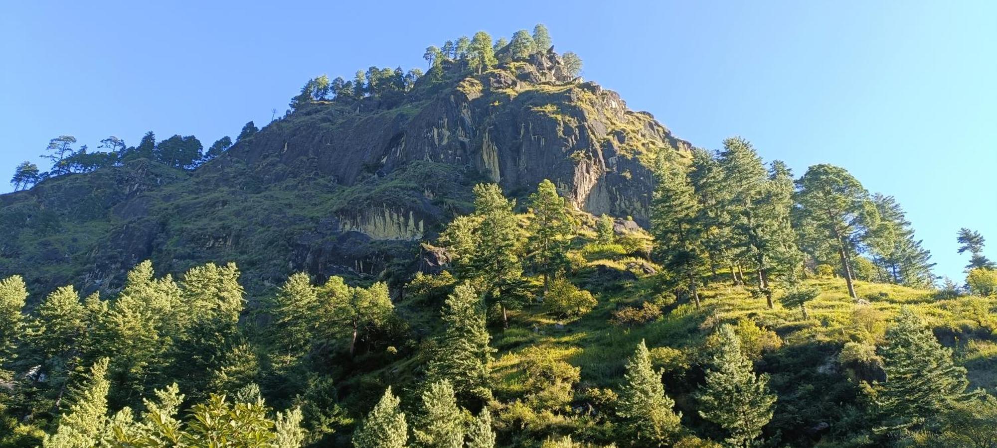 Dog N Hill Hotel กาซอล ภายนอก รูปภาพ