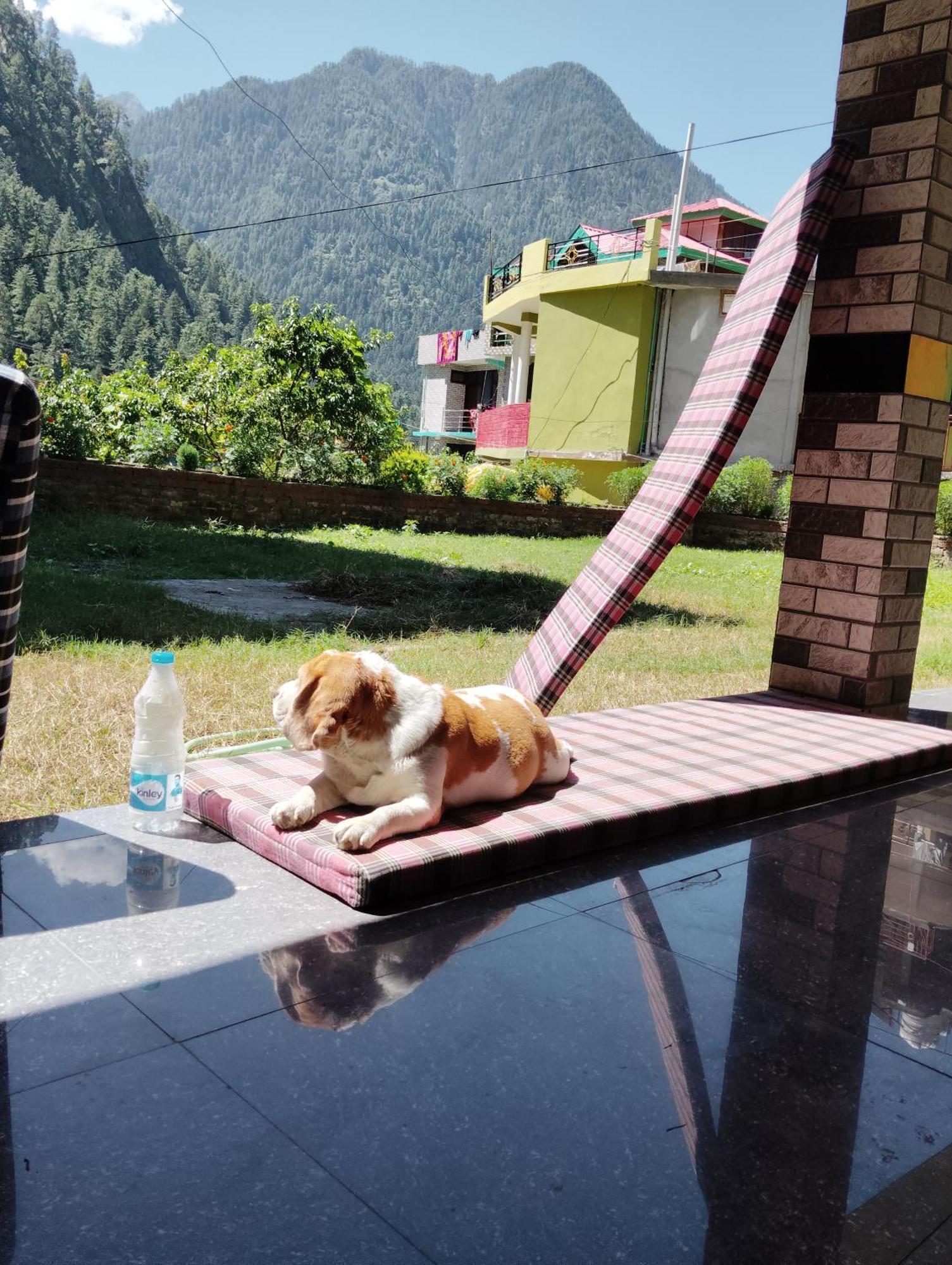 Dog N Hill Hotel กาซอล ภายนอก รูปภาพ